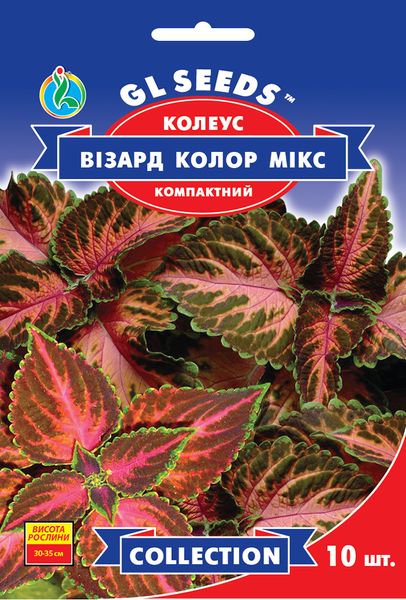 Насіння Колеусу Візард Колор мікс (10шт), Collection, TM GL Seeds