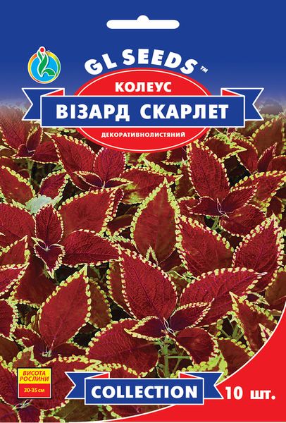 Насіння Колеусу Вiзард Скарлет (10шт), Collection, TM GL Seeds