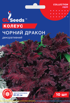 Насіння Колеусу Чорний дракон (10шт), Collection, TM GL Seeds