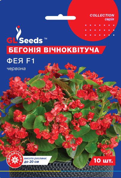 Насіння Бегонiї Фея червона F1 сумiш (10шт), Collection, TM GL Seeds