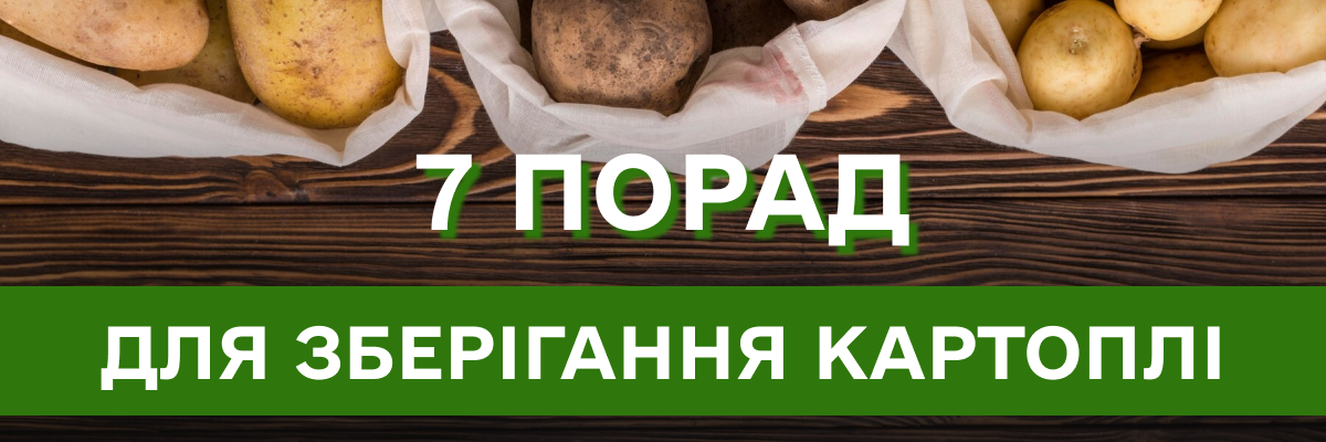 Як зберігати картоплю, щоб вона не проросла: ефективні поради