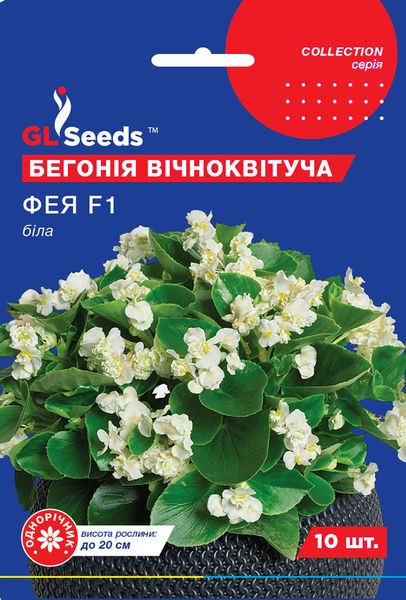 Насіння Бегонiї Фея біла F1 сумiш (10шт), Collection, TM GL Seeds