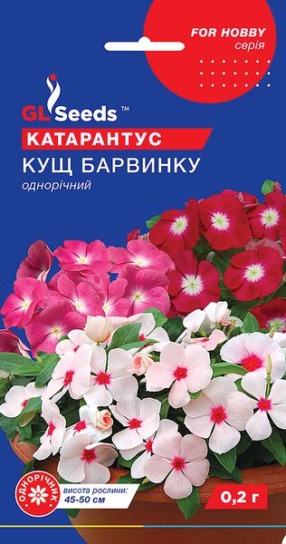 Насіння Катарантусу Кущ барвiнку; (0.1г), For Hobby, TM GL Seeds