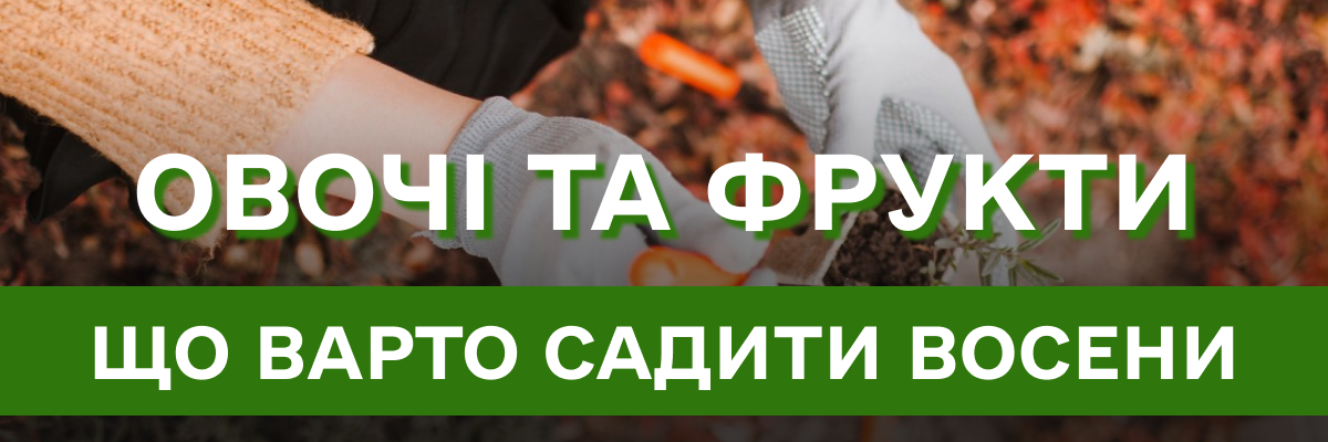 Що посадити на зиму: список овочів та фруктів, які варто посадити восени