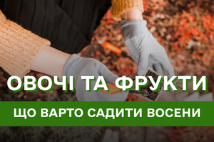 Що посадити на зиму: список овочів та фруктів, які варто посадити восени