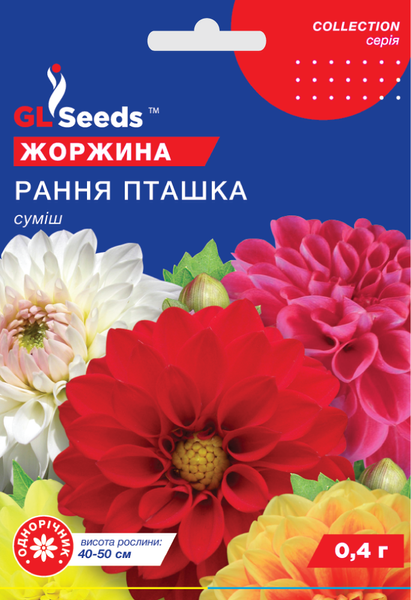 Насіння Жоржини Рання пташка (0.4г), Collection, TM GL Seeds