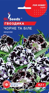 Насіння Гвоздики махрової Чорне i бiле (0.1г), For Hobby, TM GL Seeds