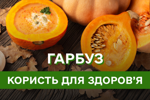 Гарбуз — осіннє золото на нашому столі: користь для здоров’я та найкращі страви