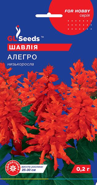 Насіння Шавлії Алегро (0.1г), For Hobby, TM GL Seeds