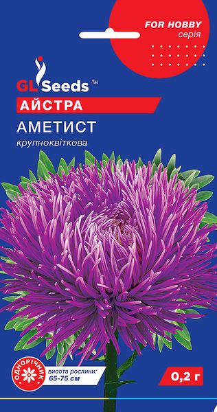 Насіння Айстри Аметист (0.2г), For Hobby, TM GL Seeds