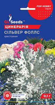 Насіння Цинерарiї Сiльвер Фоллс (0.1г), For Hobby, TM GL Seeds