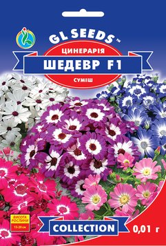 Насіння Цинерарiї квiтучої Шедевр F1 сумiш (0.01г), Collectiom, TM GL Seeds