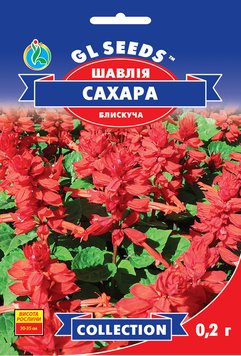 Насіння Шавлії Cахара; (0.2г),collection, TM GL Seeds