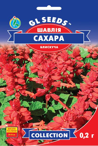 Насіння Шавлії Cахара; (0.2г),collection, TM GL Seeds