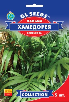 Насіння Пальми бамбукової Хамедорея (5шт), Collection, TM GL Seeds