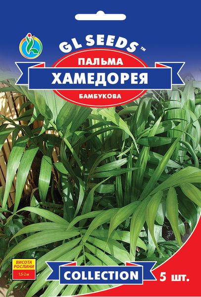 Насіння Пальми бамбукової Хамедорея (5шт), Collection, TM GL Seeds