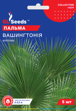 Насіння Пальми вiялової Вашингтонiя (5шт), Collection, TM GL Seeds