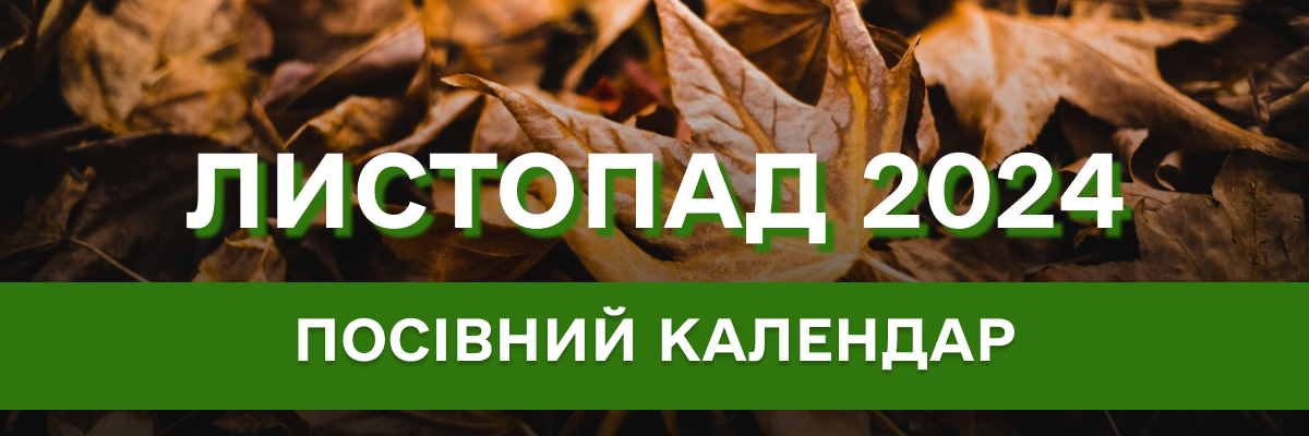 Місячний посівний календар на листопад 2024 року