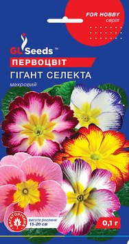 Насіння Примули Гiгант Селекта (0.1г), For Hobby, TM GL Seeds