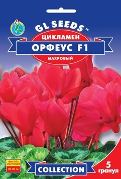 Насіння Цикламена F1 Орфеус (5шт), Collection, TM GL Seeds