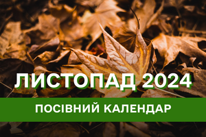 Місячний посівний календар на листопад 2024 року