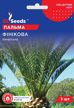 Насіння Пальми фiнiкової Канарська (3шт), Collection, TM GL Seeds