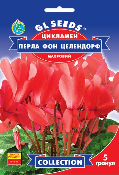 Насіння Цикламена F1 Перла фон Целендорф (5шт), Collection, TM GL Seeds