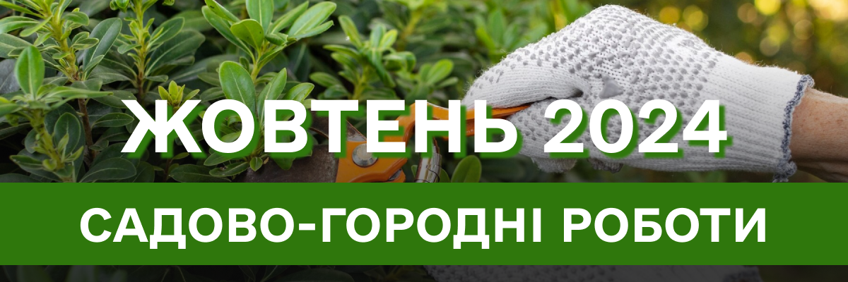 Садово-городні роботи, які обов’язково треба зробити в жовтні