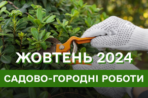 Садово-городні роботи, які обов’язково треба зробити в жовтні