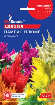 Насіння Целозiї Пампас Плюме (0.2г), For Hobby, TM GL Seeds