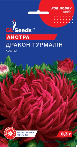 Насіння Айстри Дракон Турмалін (0.3г), For Hobby, TM GL Seeds