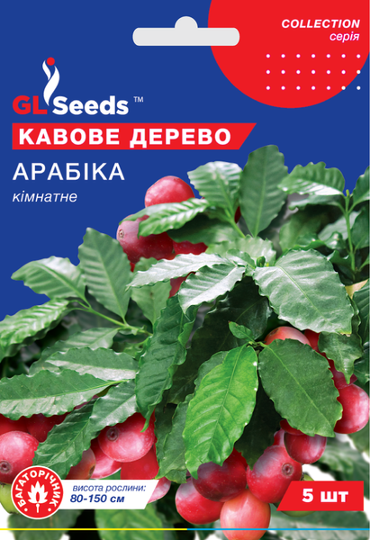 Насіння Кавового дерева Арабiка (5шт), Collection, TM GL Seeds