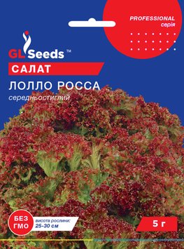 Насіння Салату Лолло Росса рожевий (5г), Professional, TM GL Seeds