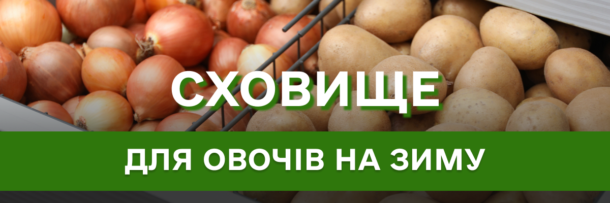 Догляд за овочами в підвалі: як захистити від морозів