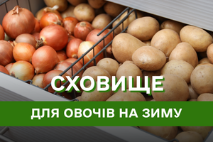 Догляд за овочами в підвалі: як захистити від морозів