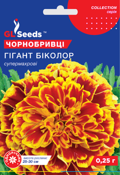 Насіння Чорнобривців Гігант бiколор (0.25г), Collection, TM GL Seeds