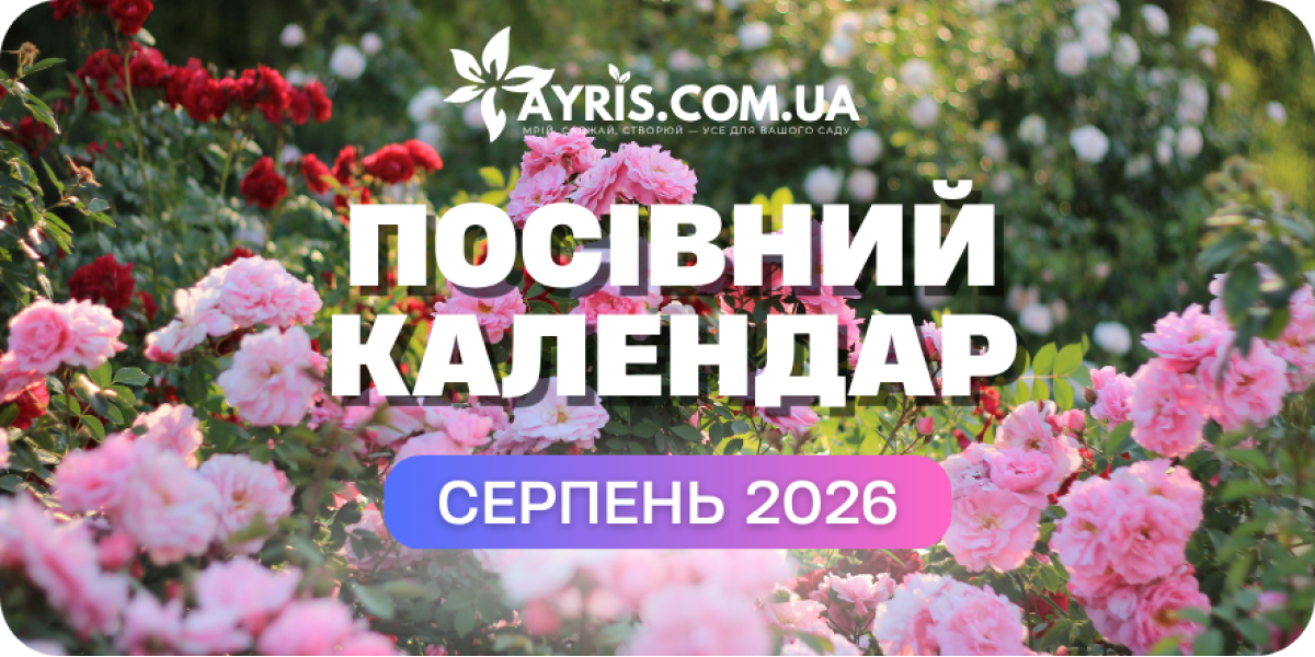 Місячний посівний календар на Серпень: посів, догляд за рослинами та збір урожаю
