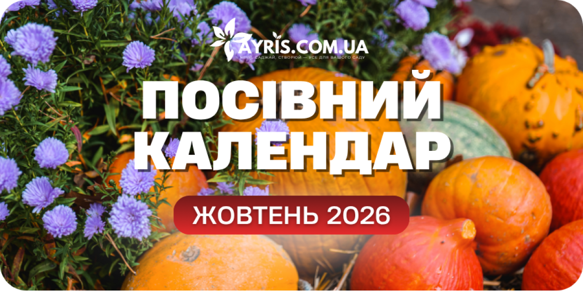 Посівний місячний календар на жовтень: сприятливі дні для посіву, догляду та збору врожаю