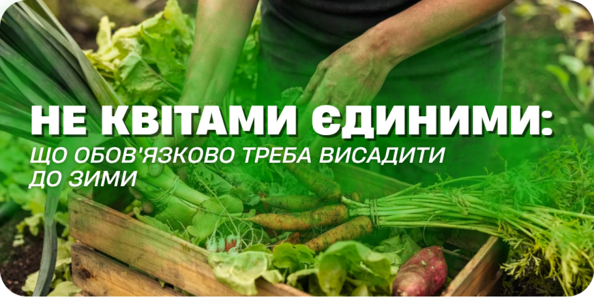 Не квітами єдиними: які культури обов'язково треба висадити до зими