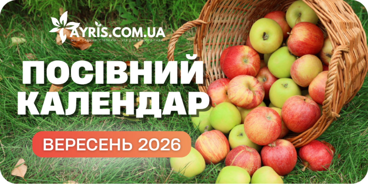 Посівний місячний календар на вересень: сприятливі дні для посіву, догляду та збору врожаю