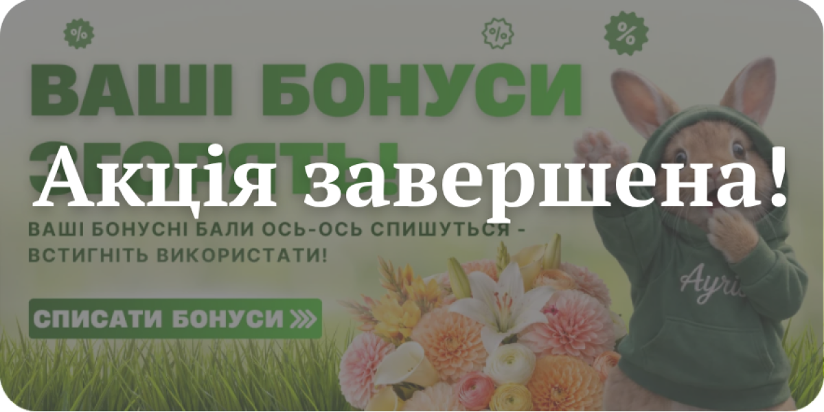 ВАШИ БОНУСНЫЕ БАЛЫ ВОТ-ВОТ ИЗЧЕЗНУТ!