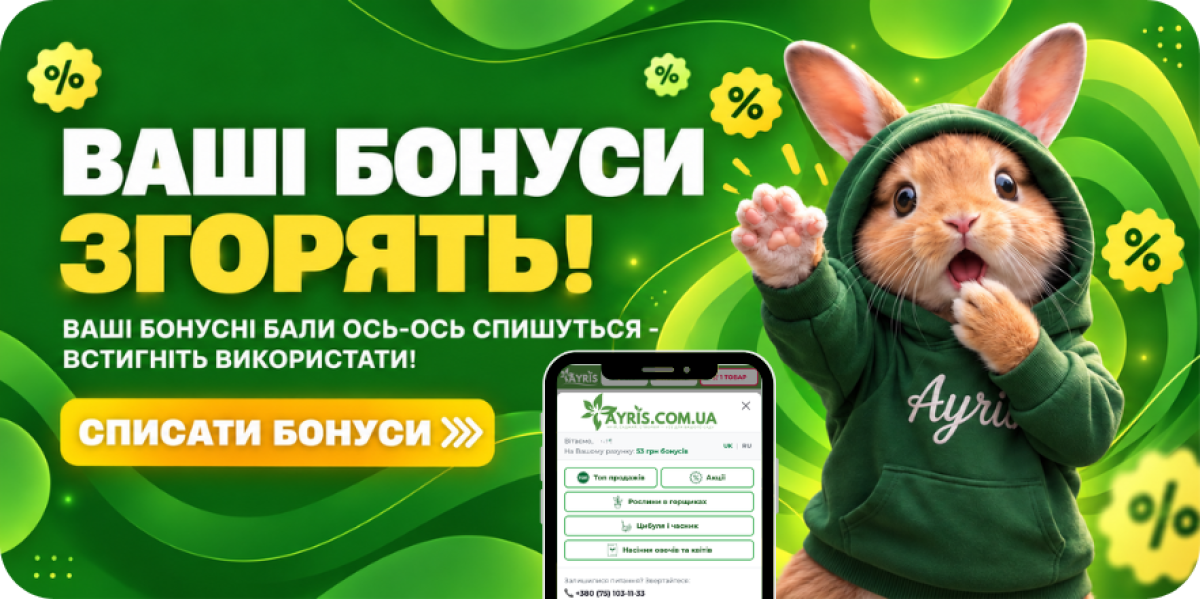 ВАШИ БОНУСНЫЕ БАЛЫ ВОТ-ВОТ ИЗЧЕЗНУТ!