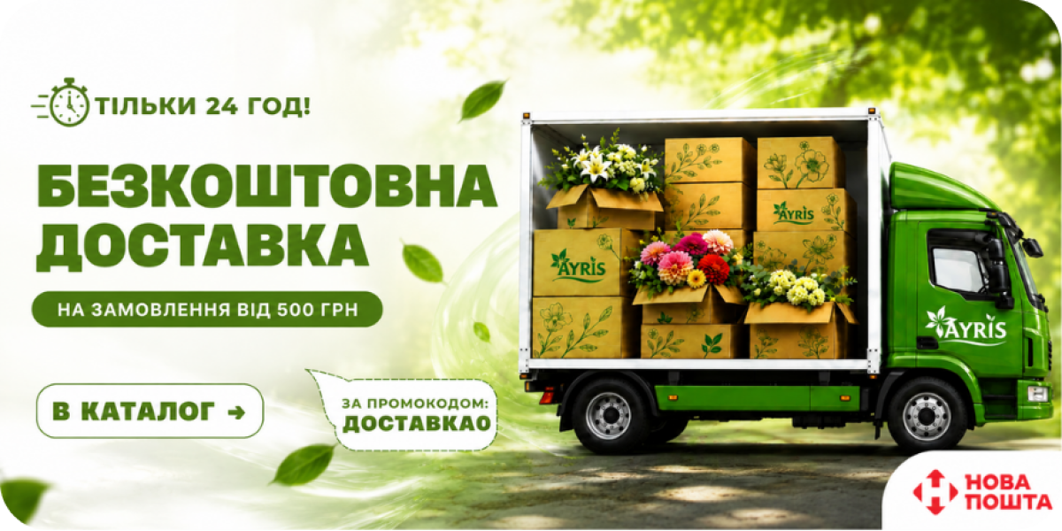 БЕЗКОШТОВНА ДОСТАВКА 24 ГОД!