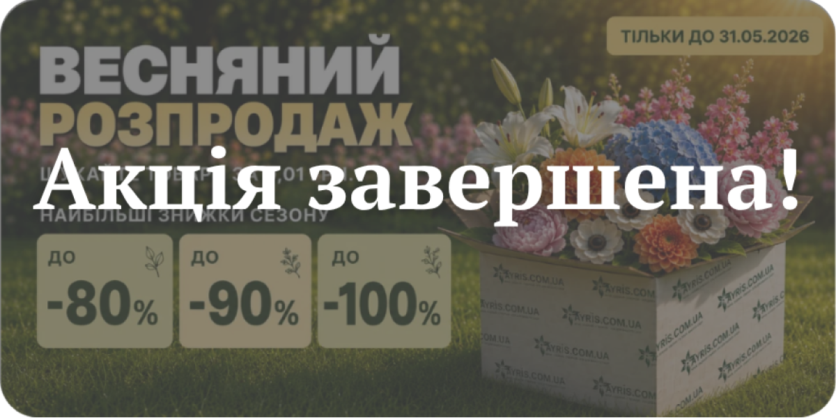 ВЕСНЯНИЙ РОЗПРОДАЖ ДО -100%!