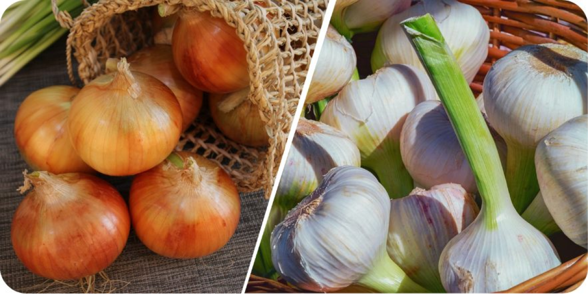 ЛУЧШИЕ сорта озимого лука и часника для большого урожая: выбираем вкусные и качественные