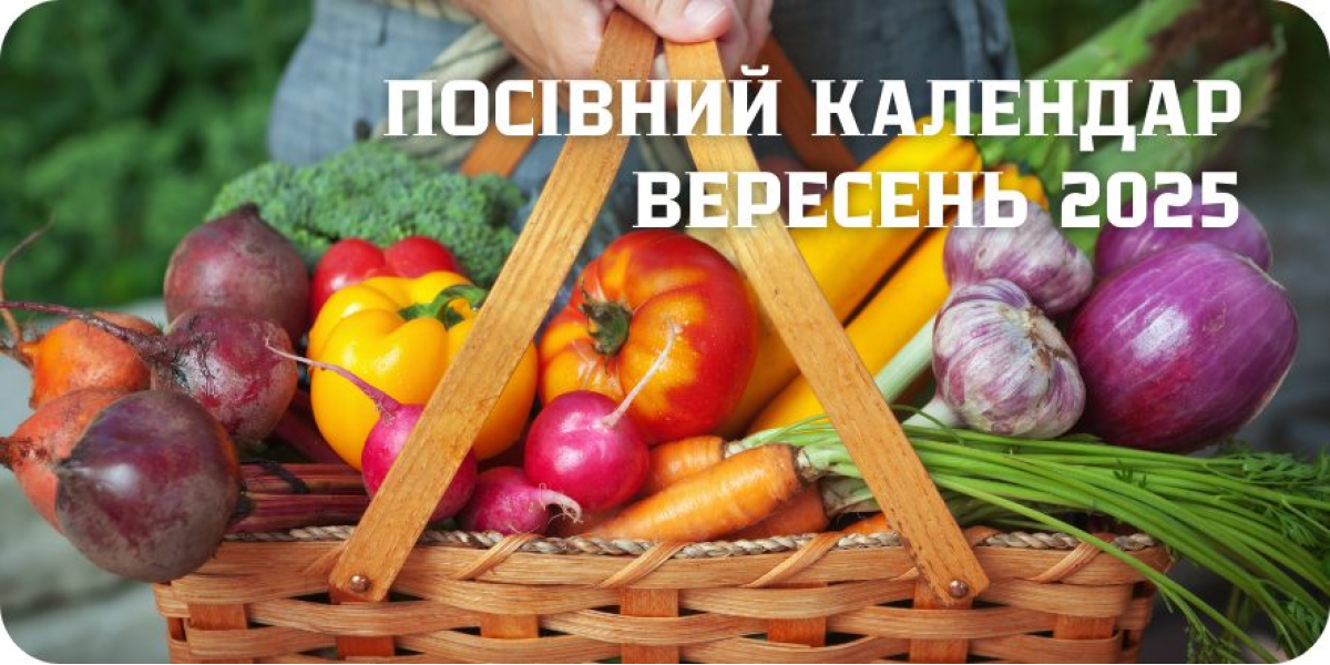 Месячный посевной календарь на СЕНТЯБРЬ 2025