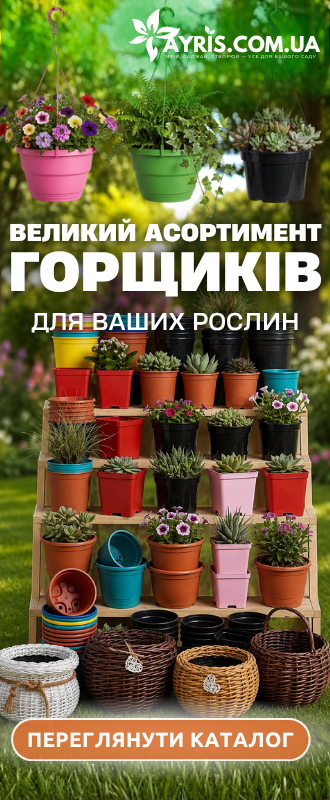 Горщики
