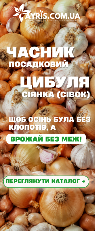 Еустома