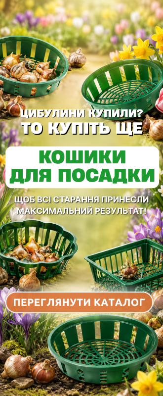 Насіння