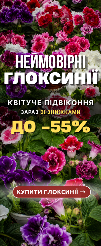 Еустома